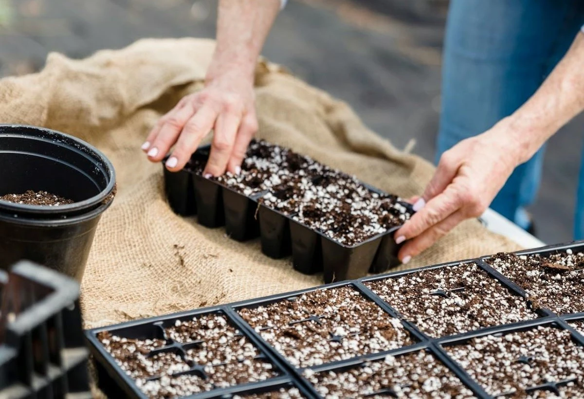 3 giorni "proibiti" per chi ama il giardinaggio: ecco quando evitare semi e trapianti
