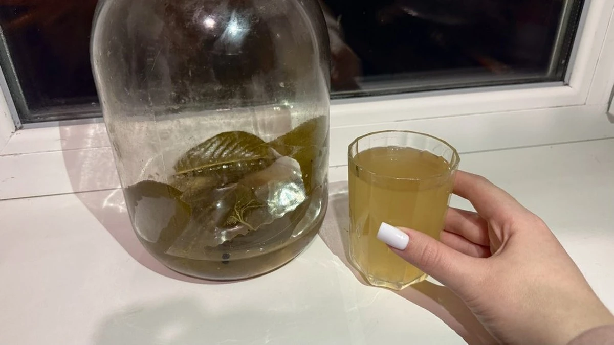 Il liquido che i cuochi intelligenti conservano: 3 trucchi che trasformeranno il sapore del tuo purè di patate, zuppe e borscht