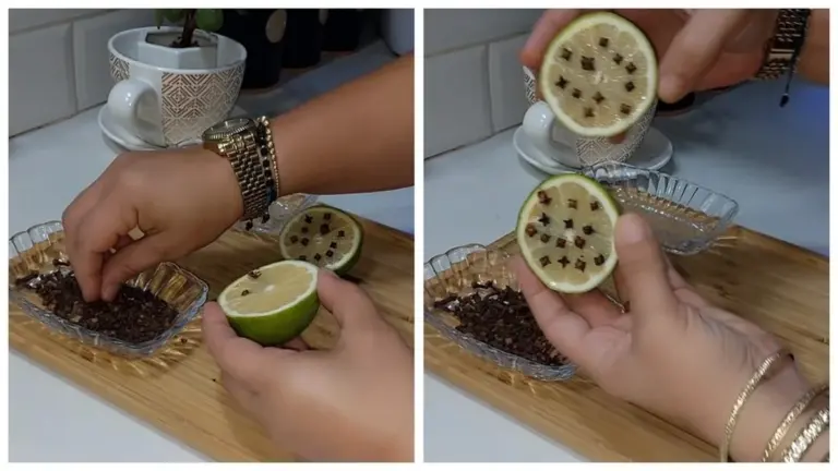 10 Chiodi in un Limone: il Trucco che Rende la Tua Casa Fresca e Aromatizzata