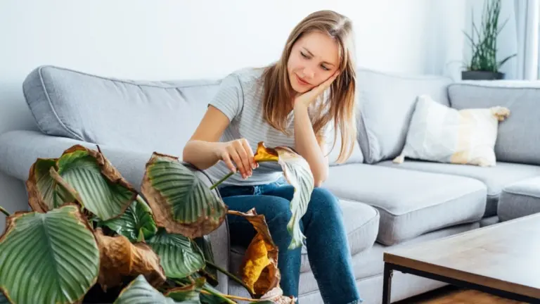 7 Segnali Che la Tua Casa è "Malata" (e Come Risolverli)