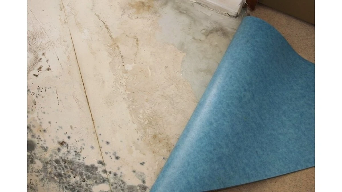 Addio muffa sotto il linoleum: 3 trucchi che evitano la rovina dei pavimenti (e la visita del tecnico)