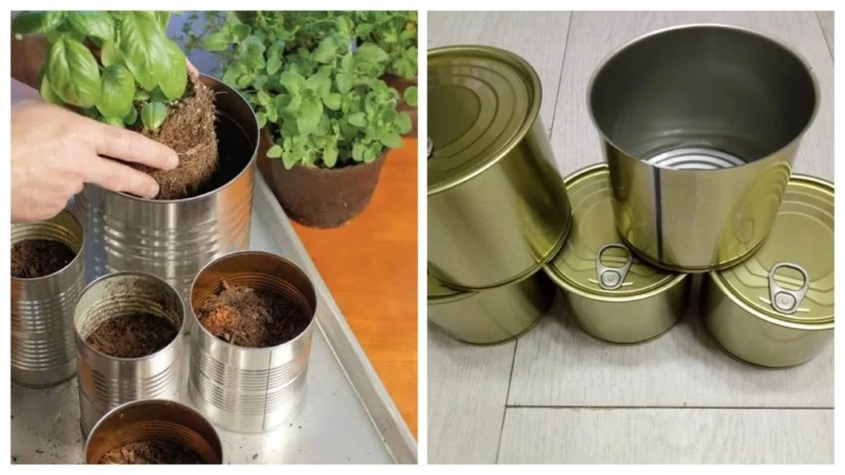 Barattoli di marmellata: da rifiuto a vaso da fiori gratuito per il tuo giardino