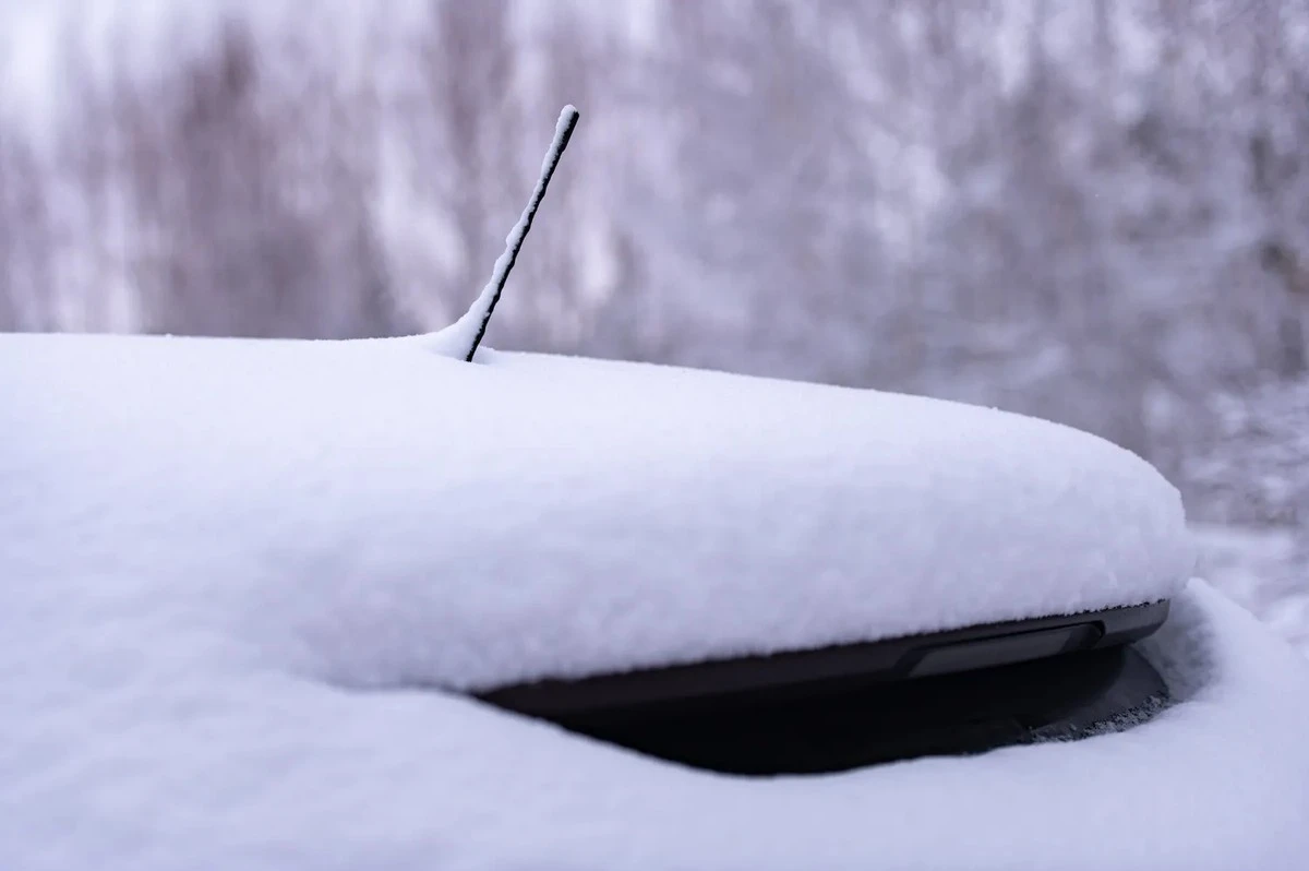 Dagli steli semplici alle "pinne di squalo": perché le antenne delle auto sono irriconoscibili e cosa fanno davvero
