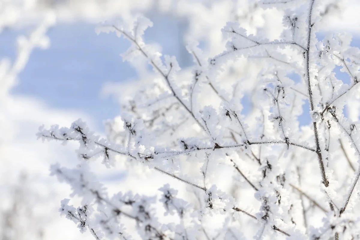 Il meteorologo lettone avverte: "Non siamo più pronti a questo freddo" – e la Lituania si identifica