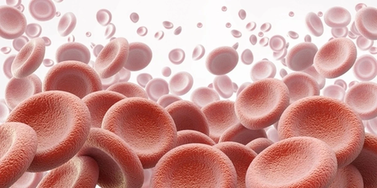 Il segreto per dire addio alla sonnolenza post-pranzo: un endocrinologo mi ha svelato 3 alimenti dimenticati
