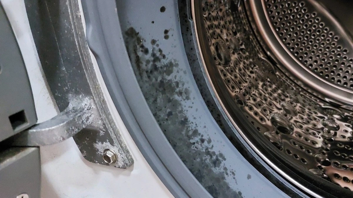 La gomma della lavatrice nasconde muffa: il metodo infallibile per pulirla in 5 minuti