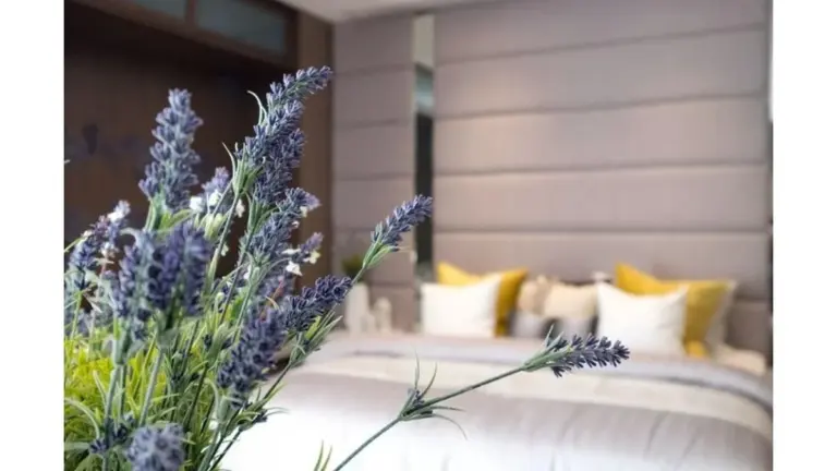 La lavanda in camera da letto: il segreto Feng Shui per eliminare l'energia negativa e favorire il sonno
