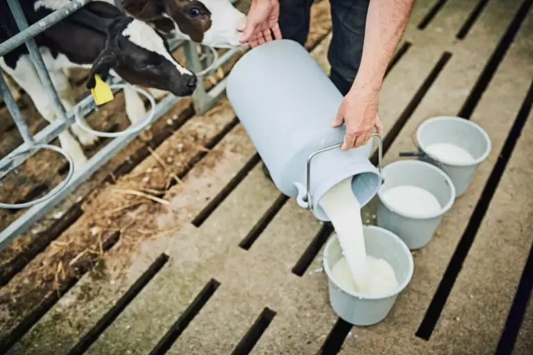 Latte adulterato? 3 test casalinghi veloci per smascherare i trucchi dei venditori