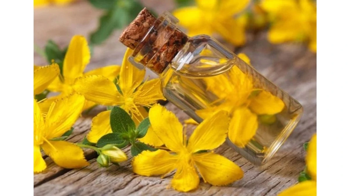 L'olio che ogni casa dovrebbe avere: un solo flacone per 10 piccoli disturbi