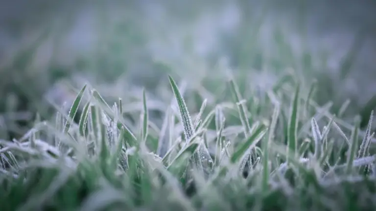 Nei la neve si arrende: ecco quando la primavera svelerà il suo vero volto in Italia