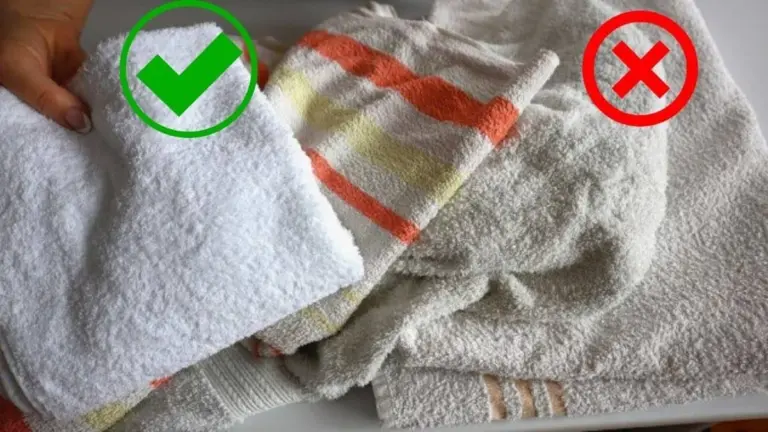 Olio in cucina: la soluzione giapponese per asciugamani impeccabili in 3 cucchiai di spezie