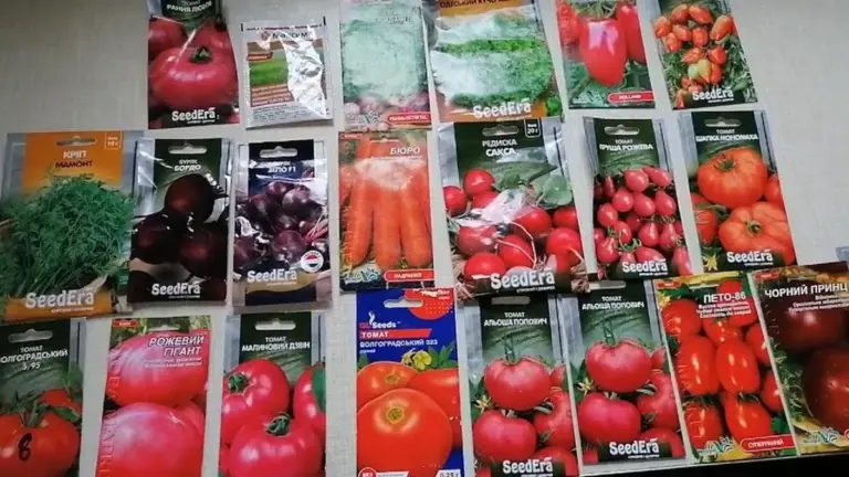 Quando ordini i semi per le verdure durante il gelo? Abbiamo una brutta notizia per te.