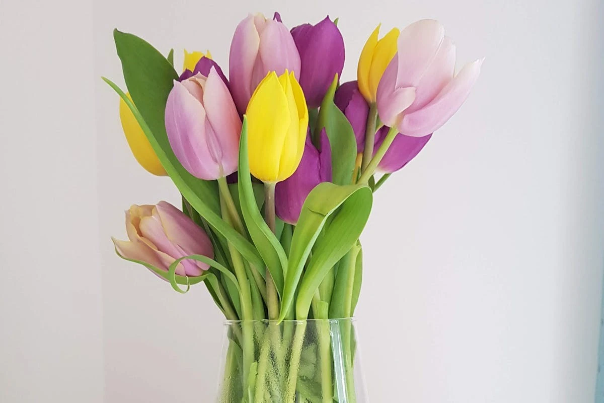 5 trucchi dei fioristi per far durare i tuoi tulipani una settimana (e oltre)