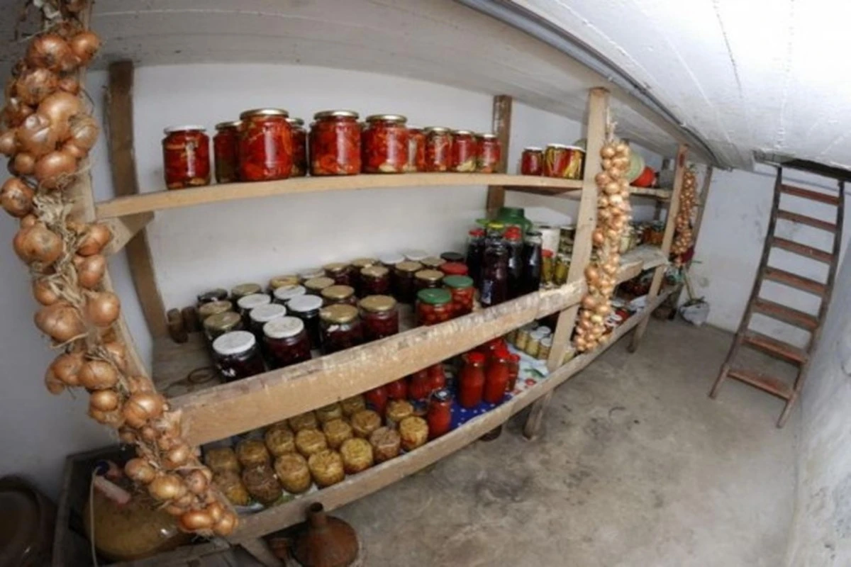 Addio muffa in cantina: il trucco dell'agricoltore che salva le verdure in pochi giorni