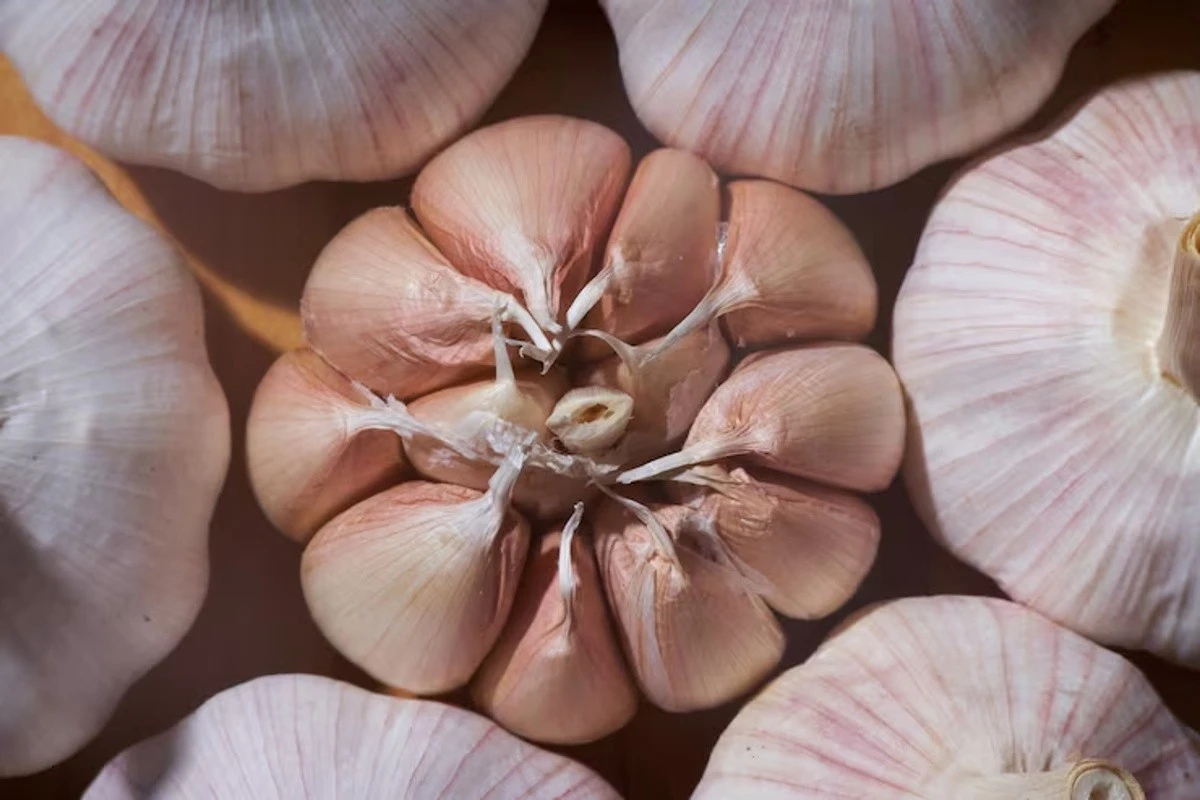 Aglio in primavera: come ottenere teste enormi anche se hai mancato l'autunno