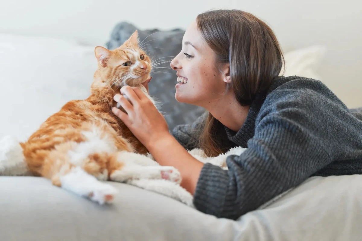 Ar jūsų katei reikia draugo? Kodėl neturėtumėte skubėti įsigyti kito augintinio