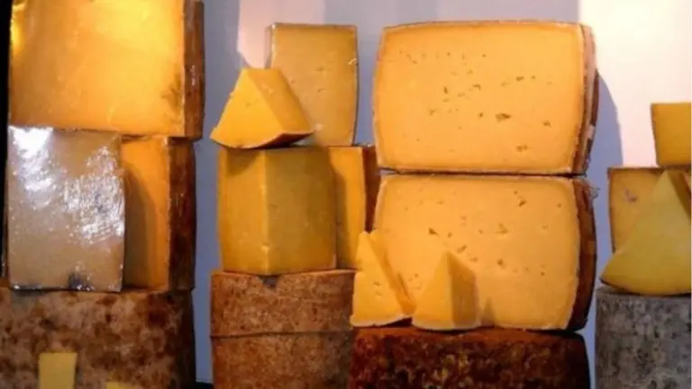 Cheddar vs. Gouda: i segreti che cambiano il tuo modo di gustare il formaggio
