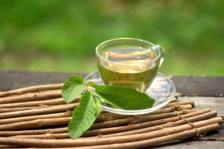 Guava Leaf Tea: The Asian Secret to Stabilize Blood Sugar