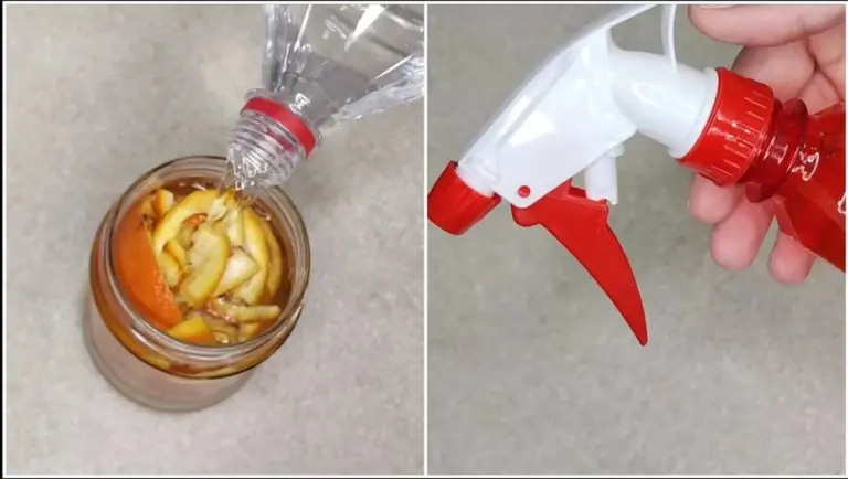 Ho detto addio ai detergenti: ora uso solo questo preparato con 4 bucce di mandarino