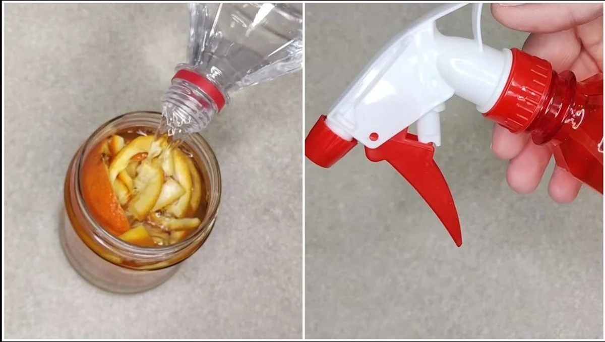 Ho detto addio ai detergenti: ora uso solo questo preparato con 4 bucce di mandarino