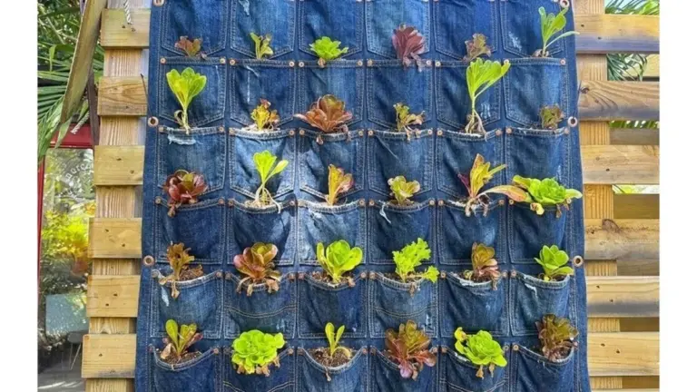 Il giardino segreto sul balcone: come vecchi jeans trasformano lo spazio in un'oasi verde