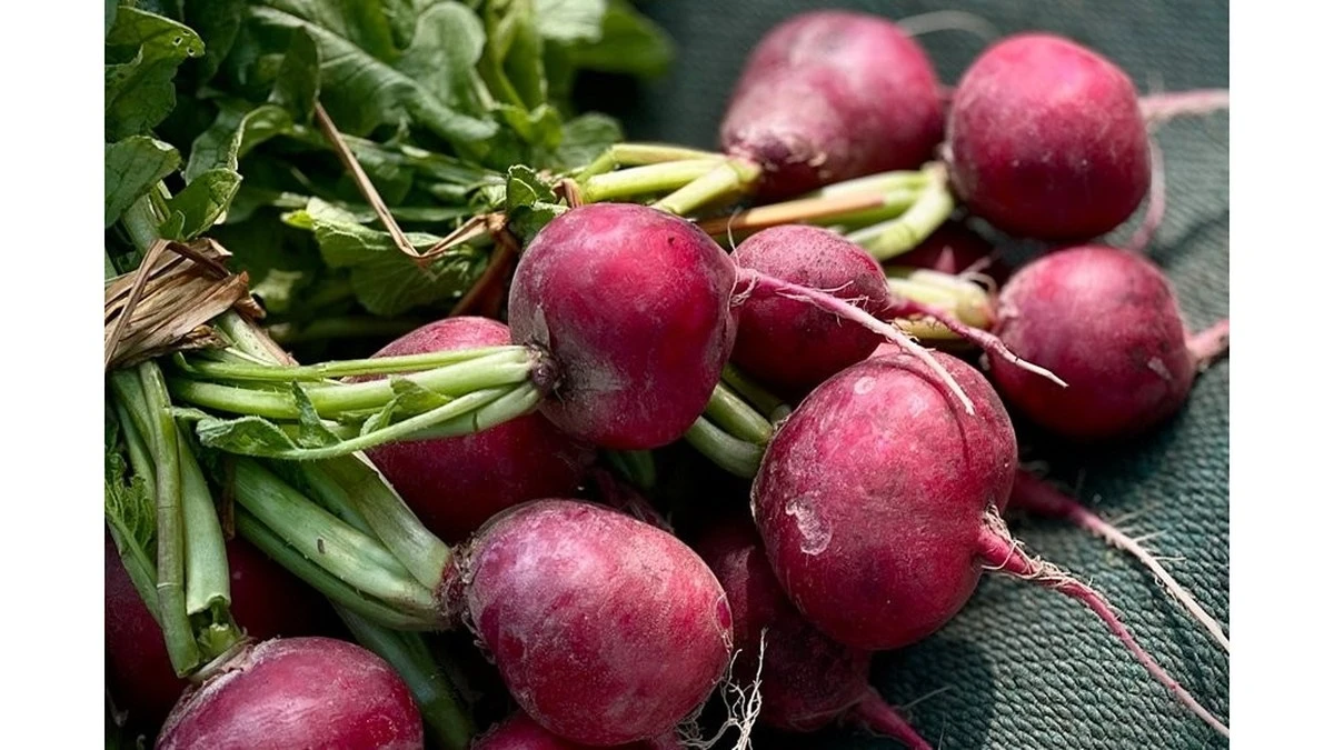 I vicini ridevano quando ho piantato verdure ad aprile: a maggio sono venuti a chiedermi i semi