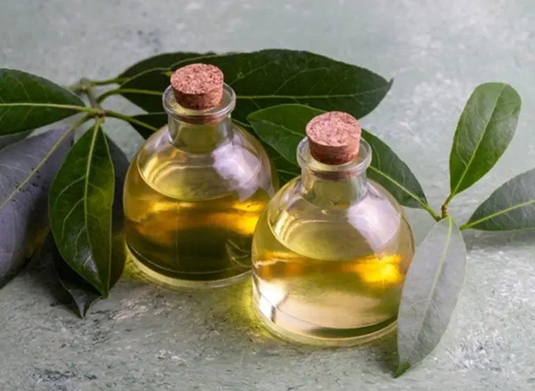 La mia amica 68enne è più giovane di me: scopri il suo segreto di bellezza con l'acqua di alloro