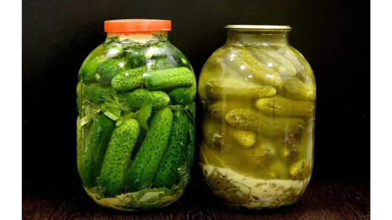 Non più cetrioli molli: 3 varietà per sottaceti croccanti tutto l'anno