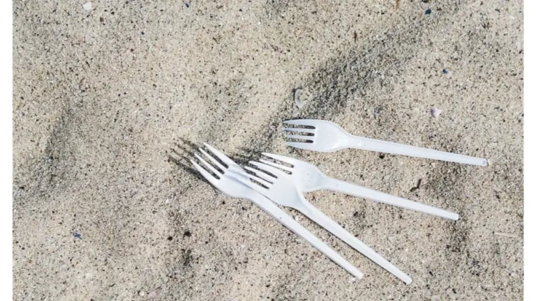 Perché il vicino mette forchette di plastica intorno ai suoi pomodori (e il motivo te lo dirà lui)