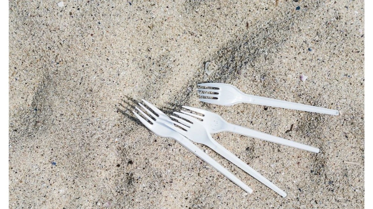 Perché il vicino mette forchette di plastica intorno ai suoi pomodori (e il motivo te lo dirà lui)