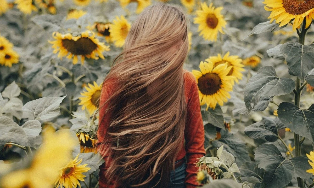 Perché i tuoi capelli diventano secchi: cause nascoste e metodi di idratazione approvati dagli esperti