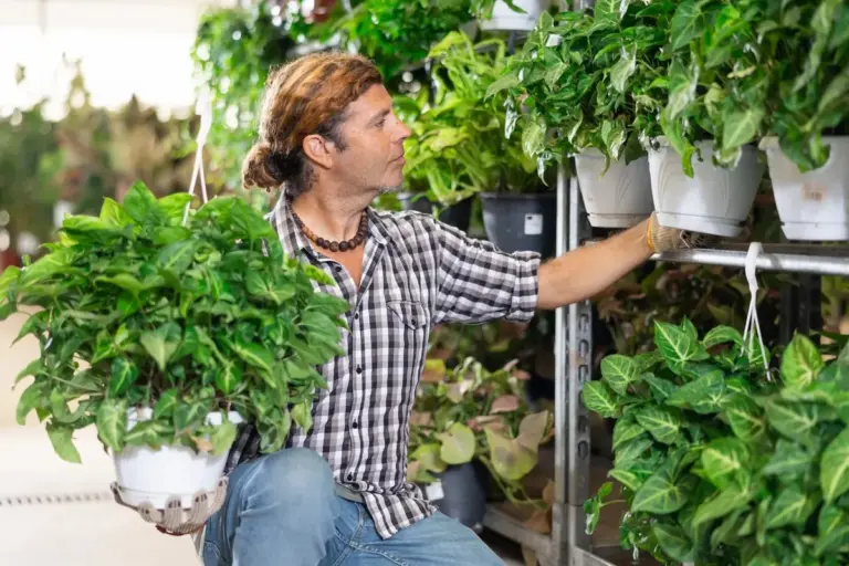 Perché non dovresti comprare piante dai supermercati: i rischi nascosti per te e per l'ambiente