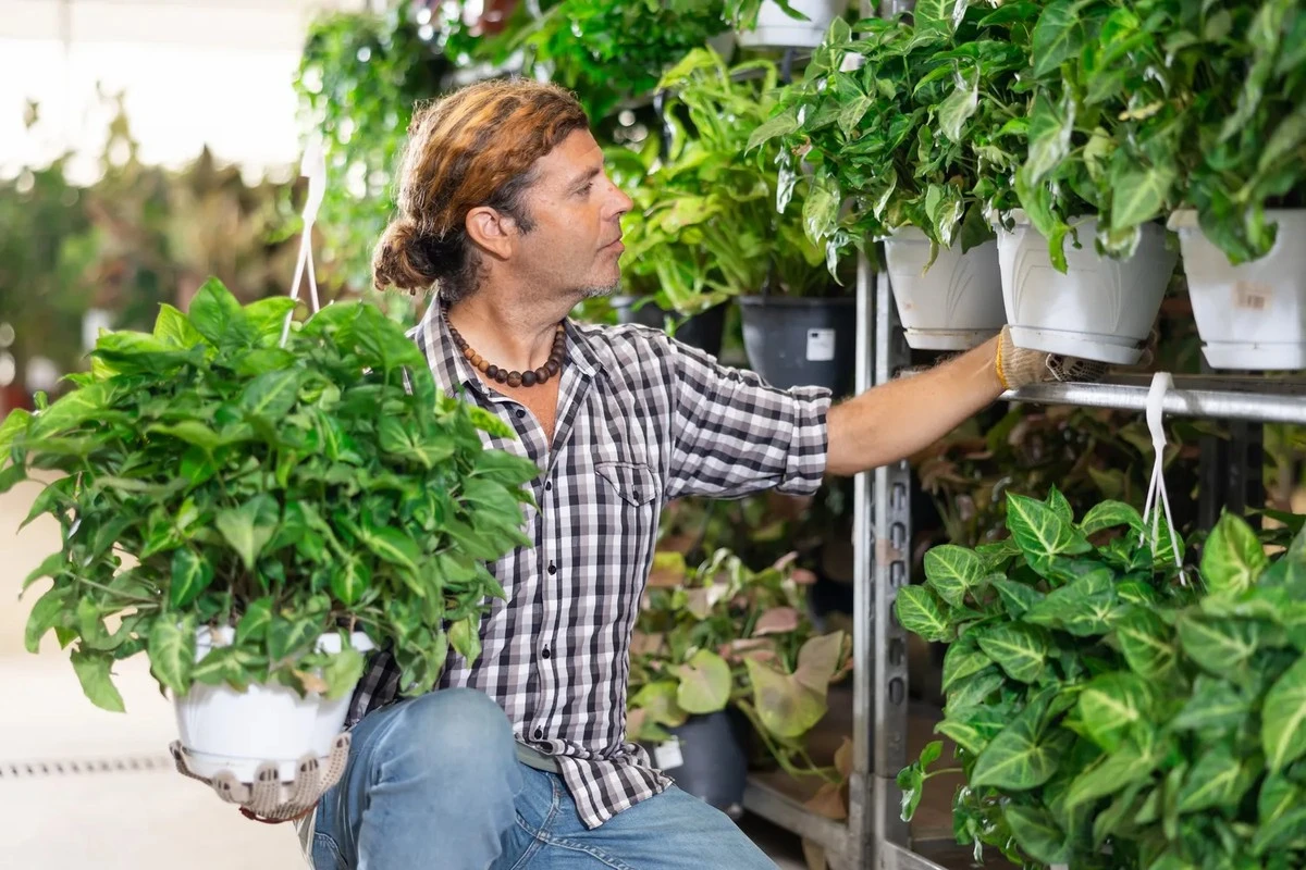 Perché non dovresti comprare piante dai supermercati: i rischi nascosti per te e per l'ambiente