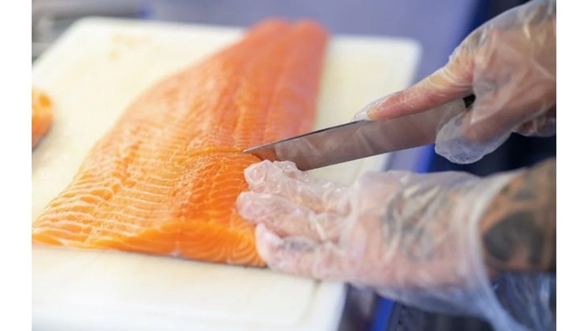 Salmone o trota: 3 differenze chiave che ti faranno risparmiare e cucinare meglio