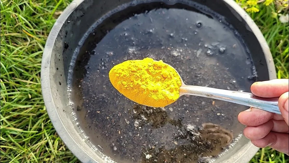 Sembra incredibile, ma la curcuma ha salvato il mio raccolto di pomodori